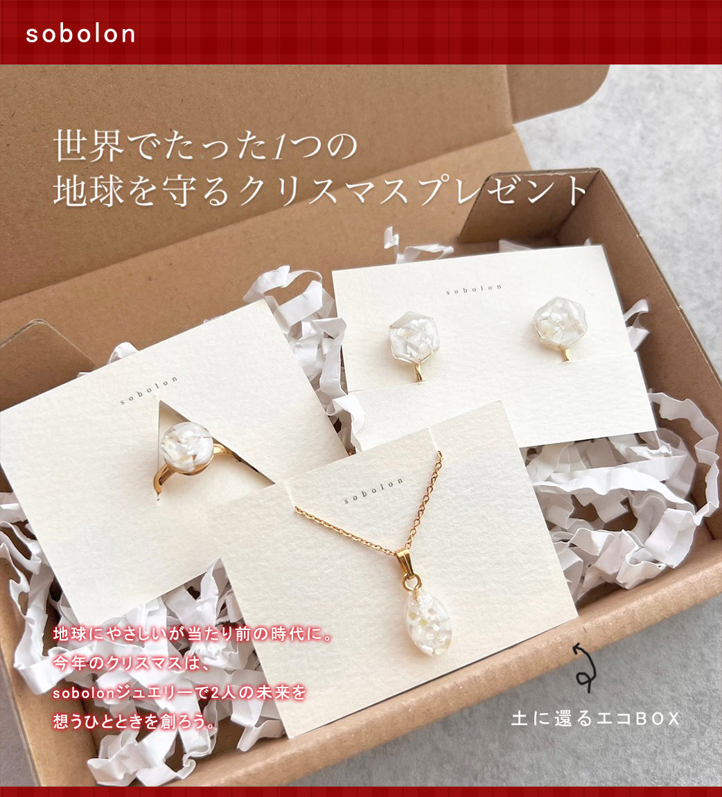 sobolonクリスマスギフト